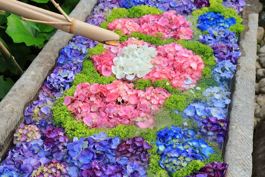 ⛩️ 금봉 신사(킨푸 진자)